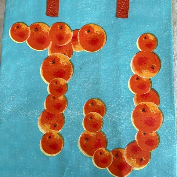 Trader Joe’s Plastic Reusable Shopping Tote Bag 6 Gallon Florida - Picture 12 of 14